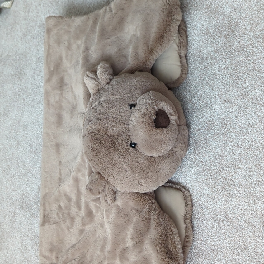 Pottery barn kids bear rug